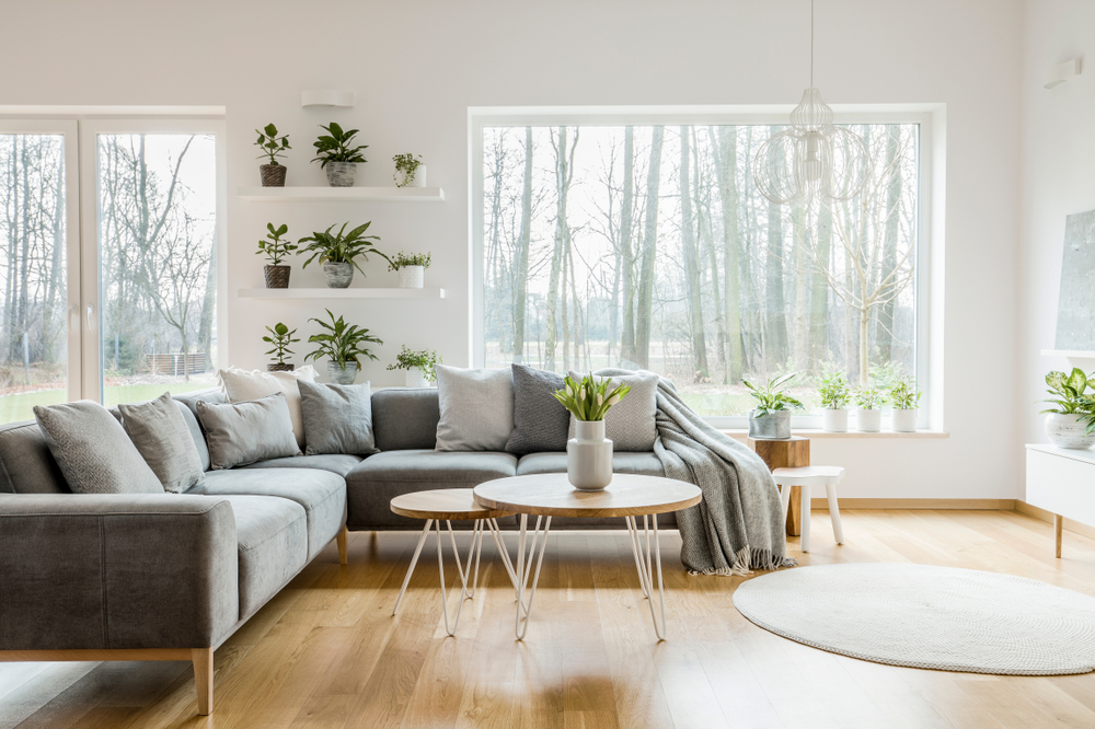 Plants,On,Shelves,Next,To,A,Window,In,Natural,Living